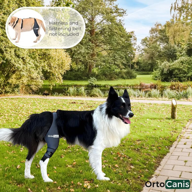 Ortocanis Protector de rodilla Izquierda para perros thumbnail