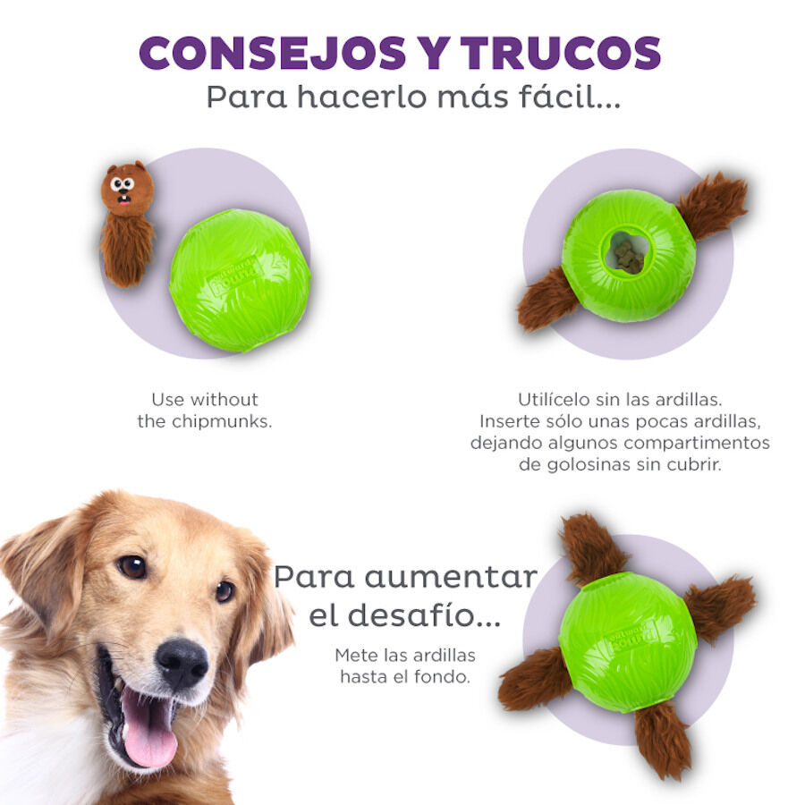 Outward Hound Snuffle n’ Treat Pelota Interactiva Portagolosinas para perros thumbnail