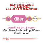 Royal Canin Kitten Persia pienso para gatos, , large image number null