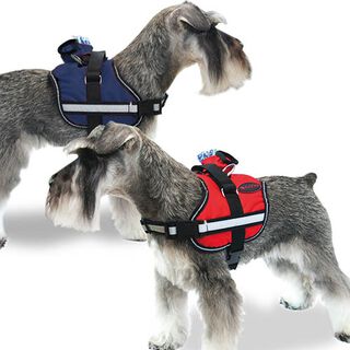 Ibañez Arnés Active Rojo para perros