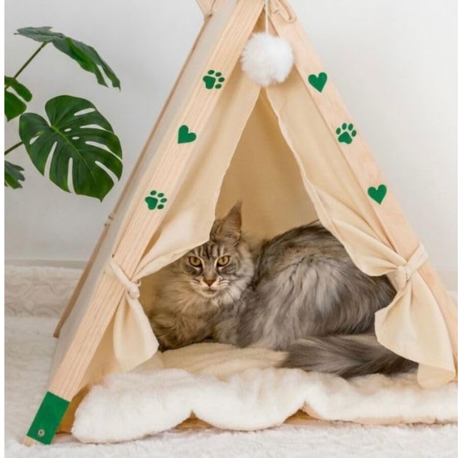 Cama Tipi Plegable para Gatos y Perros Peque&ntilde;os con Coj&iacute;n Lavable - Cueva de Madera Maciza y Lino Transpirable, Caseta de Interior Port&aacute;til y F&aacute;cil de Limpiar para Cachorros y Mascotas, , large Imagen numero 3