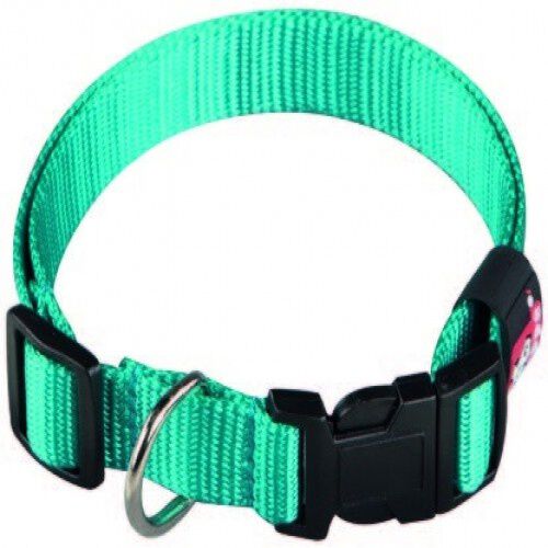 Arppe Basic Collar de Nylon Turquesa para perros, , large Imagen numero 1