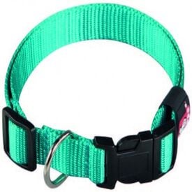 Arppe Basic Collar de Nylon Turquesa para perros