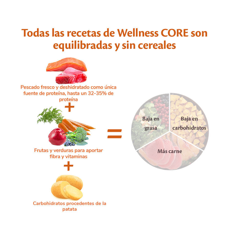 Wellness Core Adult Small Ocean Salmón y Atún pienso para perros thumbnail