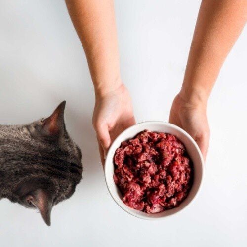 CRU caja completa sabor variado para gatos thumbnail