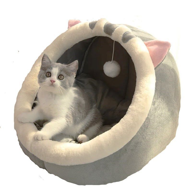 Petplus camas 2025