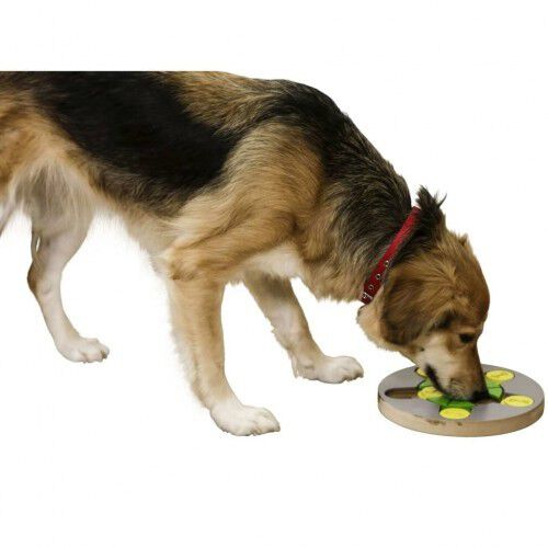 Juguete de inteligencia Switch para perros color Gris y Verde, , large Imagen numero 3