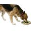 Juguete de inteligencia Switch para perros color Gris y Verde, , large indicador imagen numero 3
