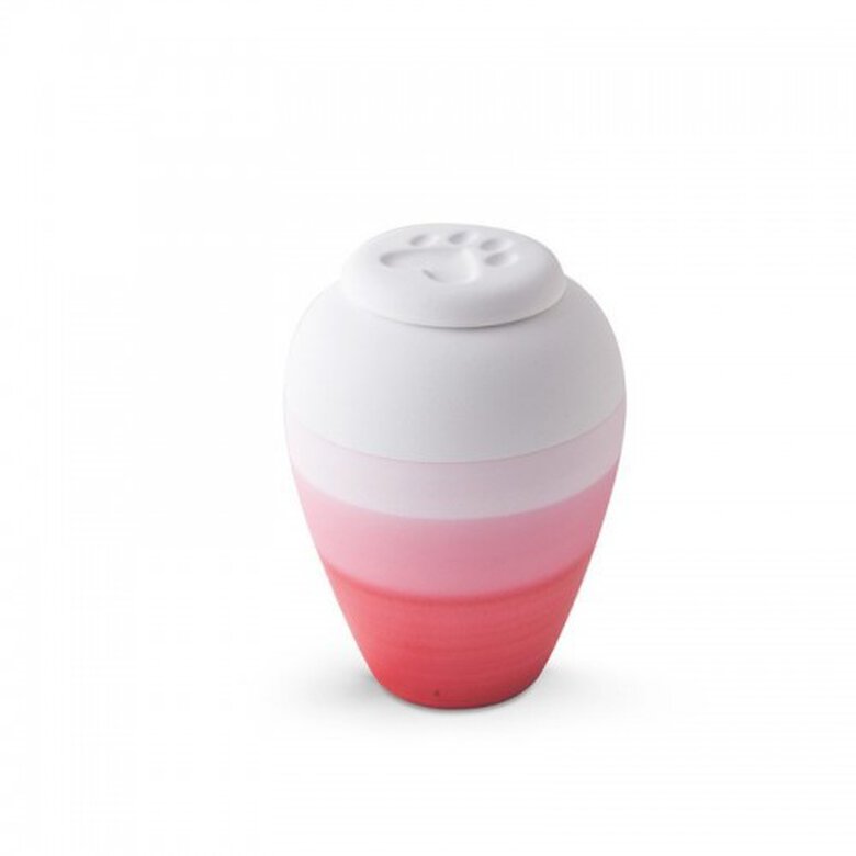 Urna Eco Chroma color Rojo, , large image number null
