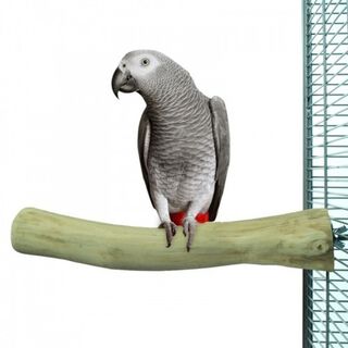 Percha Java mediana para loros color Marrón