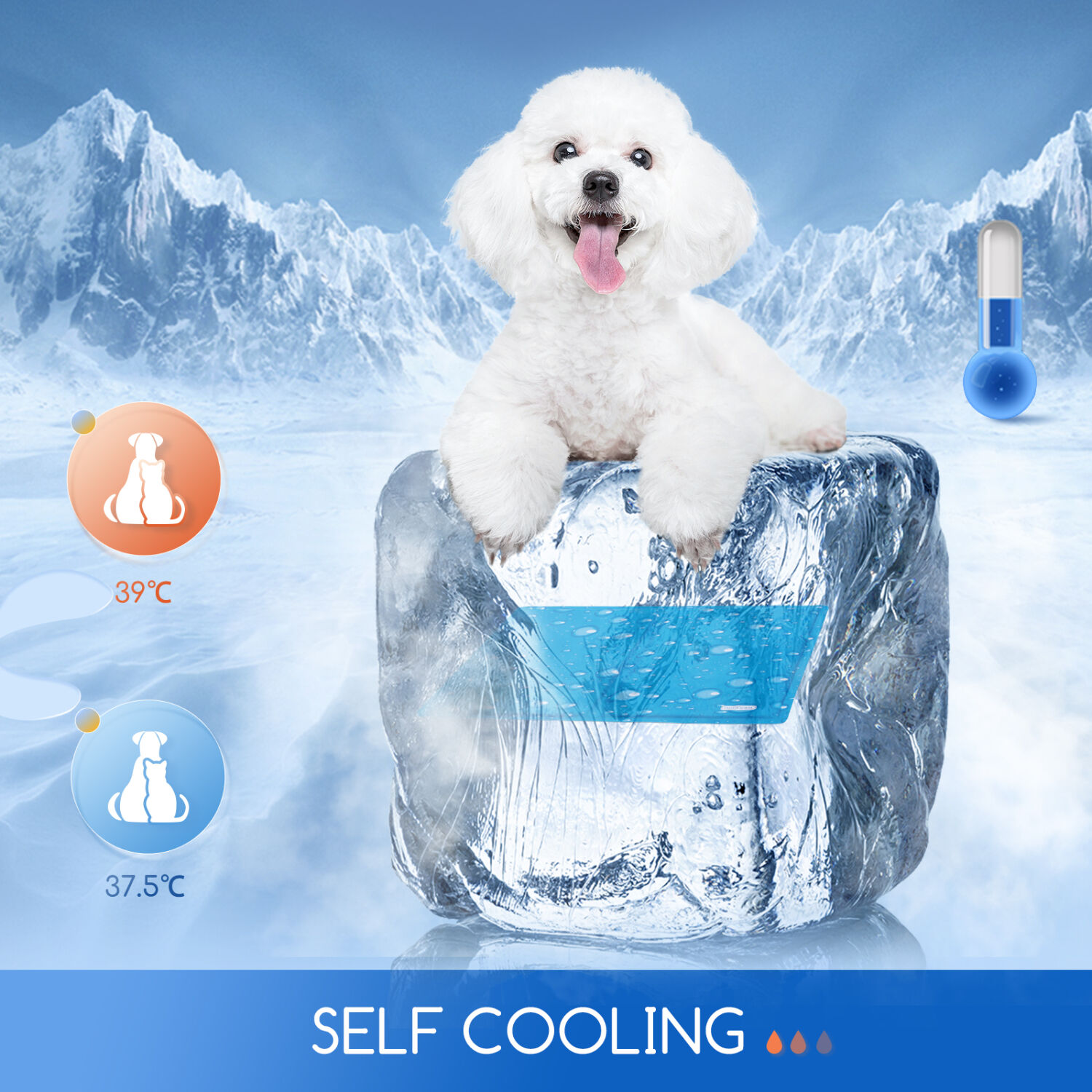 Nobleza Alfombrilla Refrescante para Perros Gatos, 90*50cm Manta Refrigerante Perro, Cama Perro Refrescante para Mascotas Mmediano a Grande, Alfombra de Gel Activada por Presi&oacute;n, L, , large Imagen numero 4