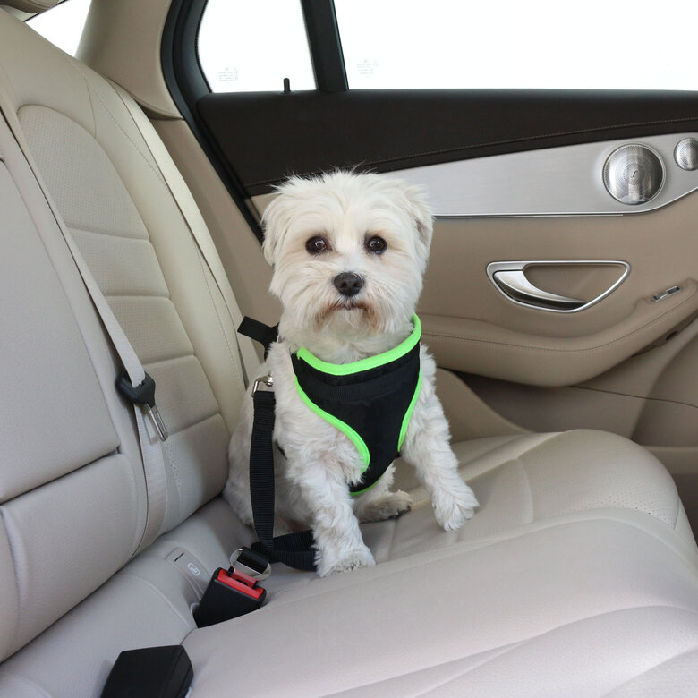 Yatek Arnés cinturón coche ajustable para perros, , large image number null