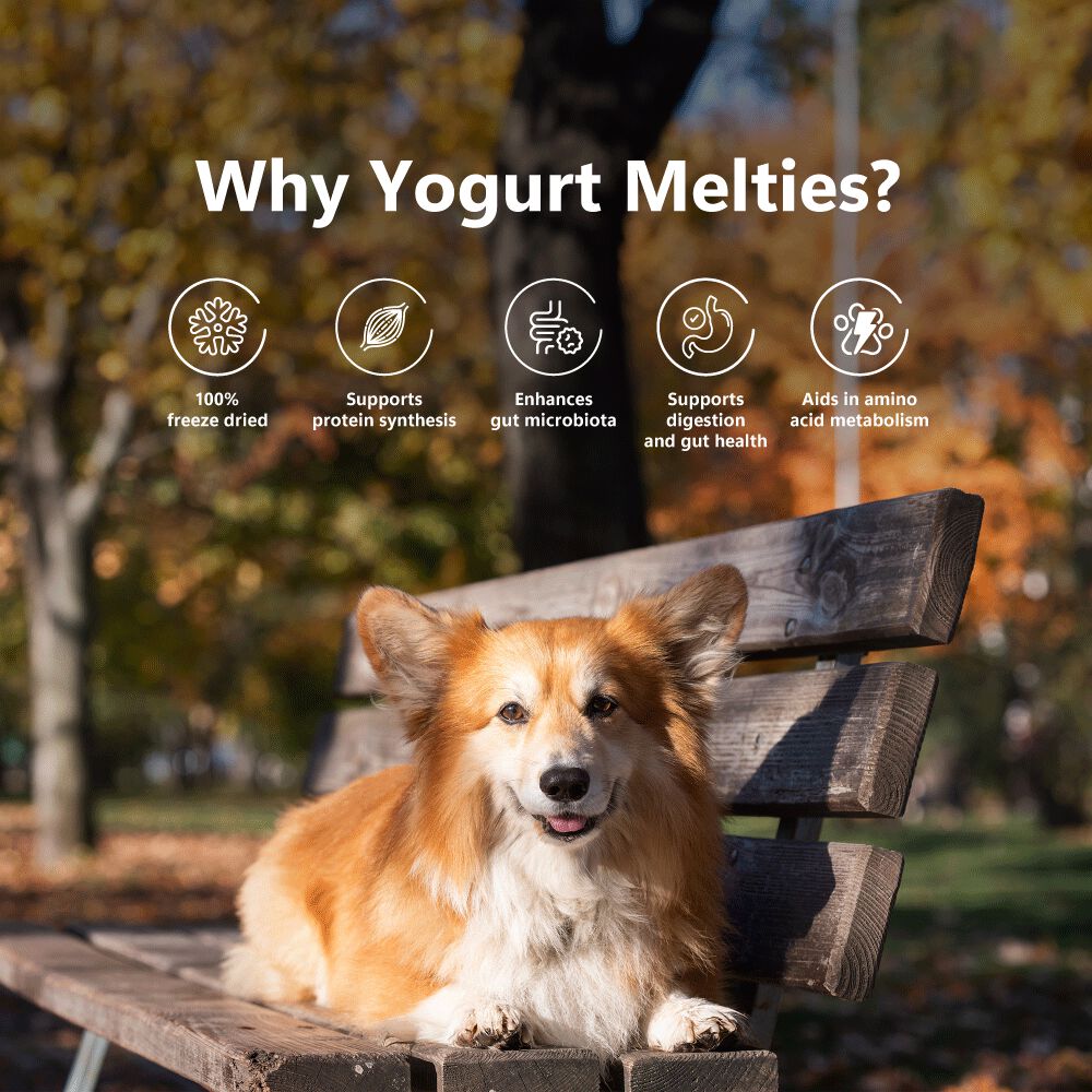 Golosinas prebi&oacute;ticas y probi&oacute;ticas para perros: pi&ntilde;a y yogur (38 g/1,34 oz), , large Imagen numero 5