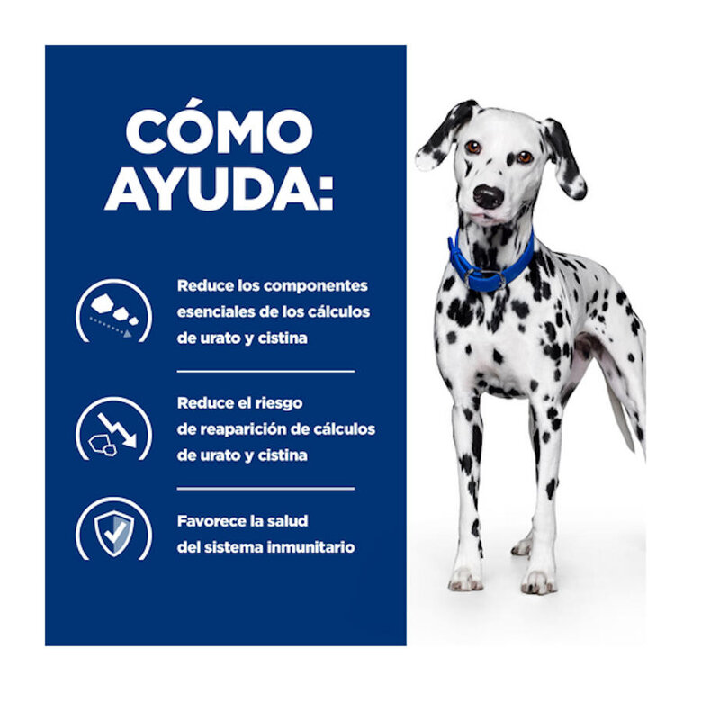 Hill's Prescription Diet Urinary Care pienso para perros, , large image number null