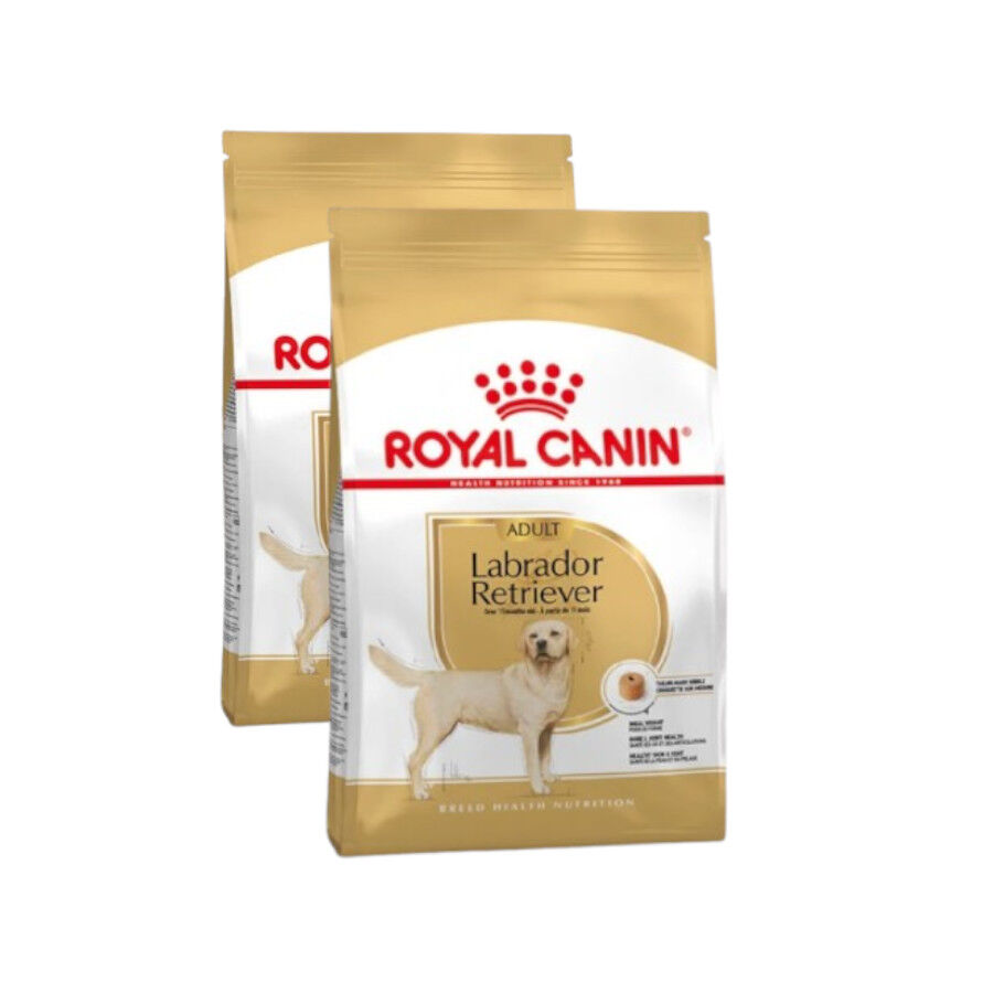 Royal Canin Adult Labrador Retriever pienso para perros thumbnail