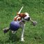 Pelota con cuerda para perros color Azul, , large indicador imagen numero 3