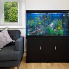 Acuario Completo de 300L con Mueble Negro, , large image number null