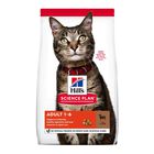 Hill's Science Plan Adult Cordero pienso para gatos, , large image number null