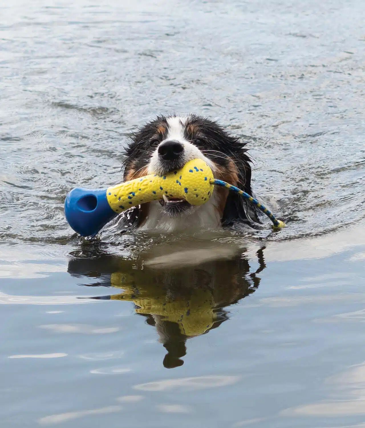 Zeus Nitro&trade; Boya Lastrada , 26cm, , large Imagen numero 3