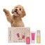 Masco Beauty Kit Higiene Diaria para perros, , large indicador imagen numero 1