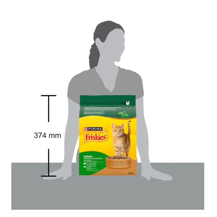 3 kg Friskies Indoor pienso para gatos, , large Imagen numero 5