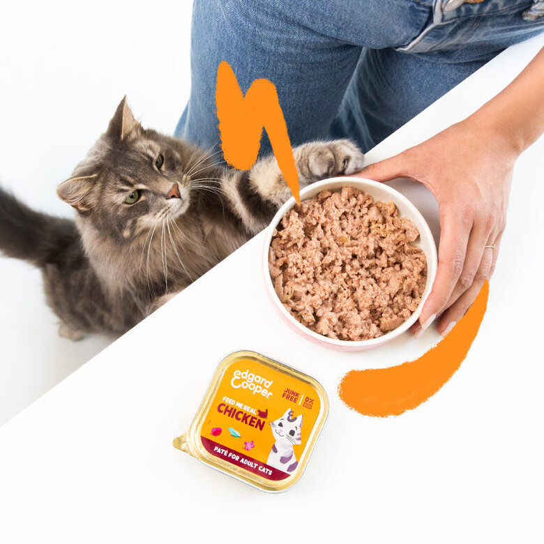 Edgard & Cooper Adult Pollo en Paté tarrina para gatos, , large image number null