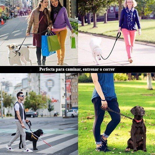 Correa MyPetCare para perro color Negro, , large Imagen numero 2