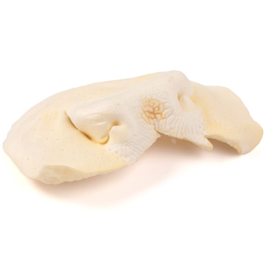 BIMORDISCOS Morro deshidratado de vaca para perros, , large Imagen numero 2