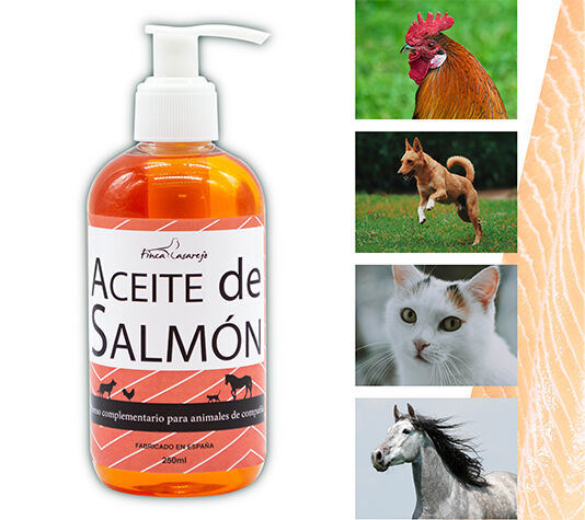 Aceite de Salm&oacute;n Para Perros, Gatos, Caballos (250 ml) | Rico en Omega 3, 6 y 9 para la Salud de Piel, Pelaje y Plumaje de las Mascotas, , large Imagen numero 3