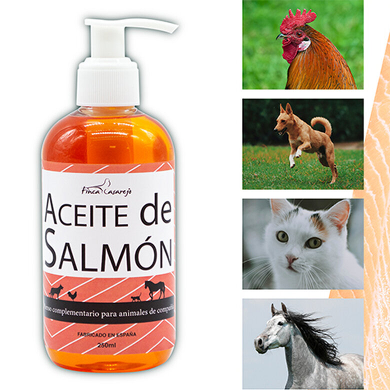 Aceite de Salmón Para Perros, Gatos, Caballos (250 ml) | Rico en Omega 3, 6 y 9 para la Salud de Piel, Pelaje y Plumaje de las Mascotas, , large image number null