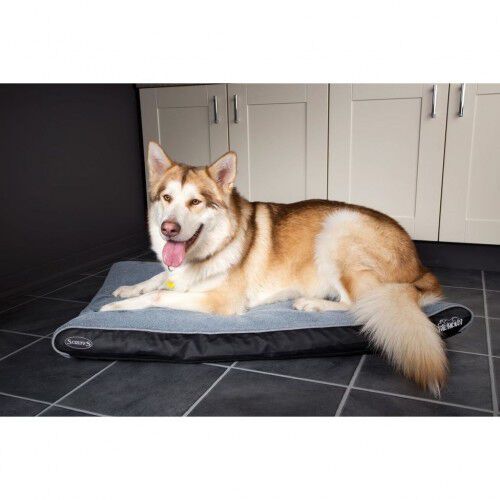 Cama ortopédica hotsell perro tiendanimal