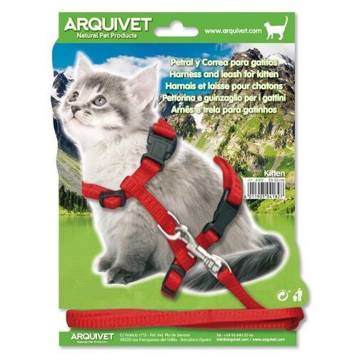 Petral y tirador para gatitos color Rojo