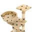 Rascador con poste de sisal para gatos color Beige Huellas, , large indicador imagen numero 4