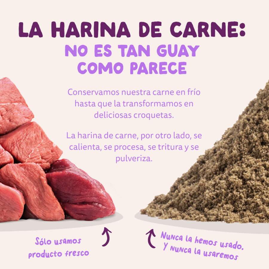 12 kg Edgard & Cooper Puppy Salm&oacute;n y Pavo pienso parra perros, , large Imagen numero 10