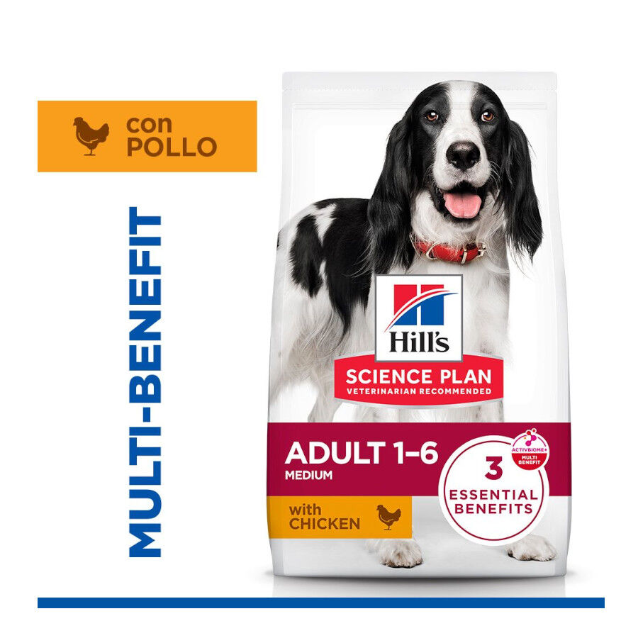 14 kg Hill's Science Plan Adult Medium Pollo pienso para perros, , large Imagen numero 2