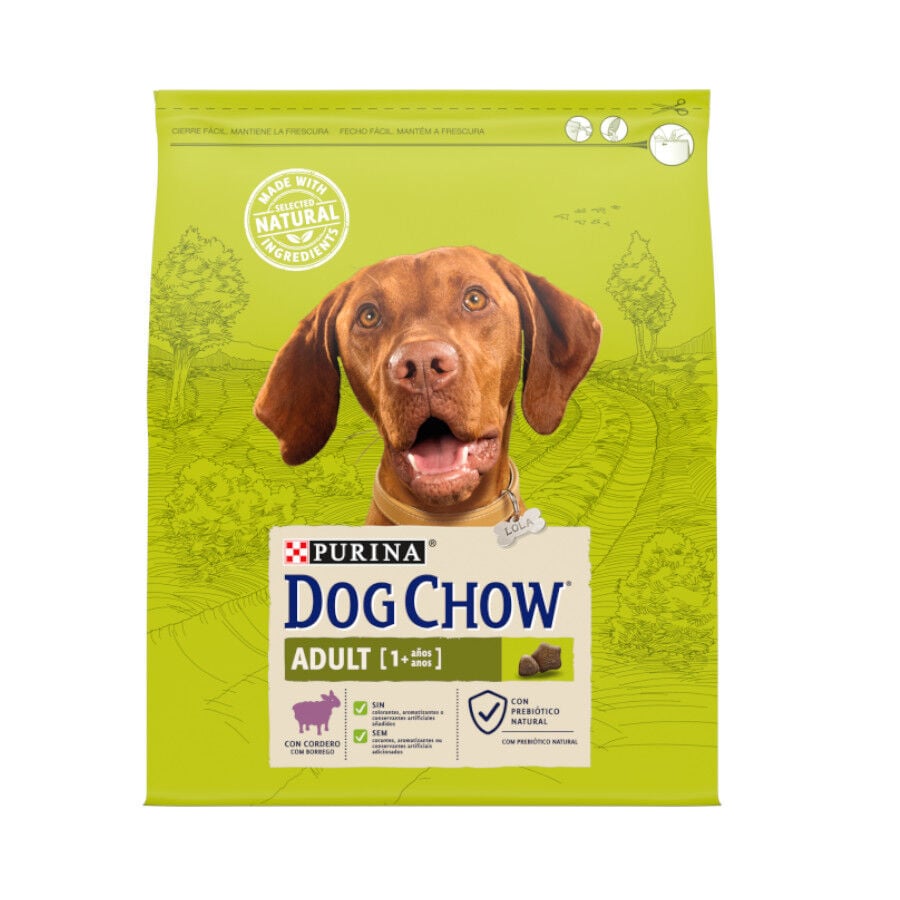 Dog Chow Adult Cordero pienso para perros