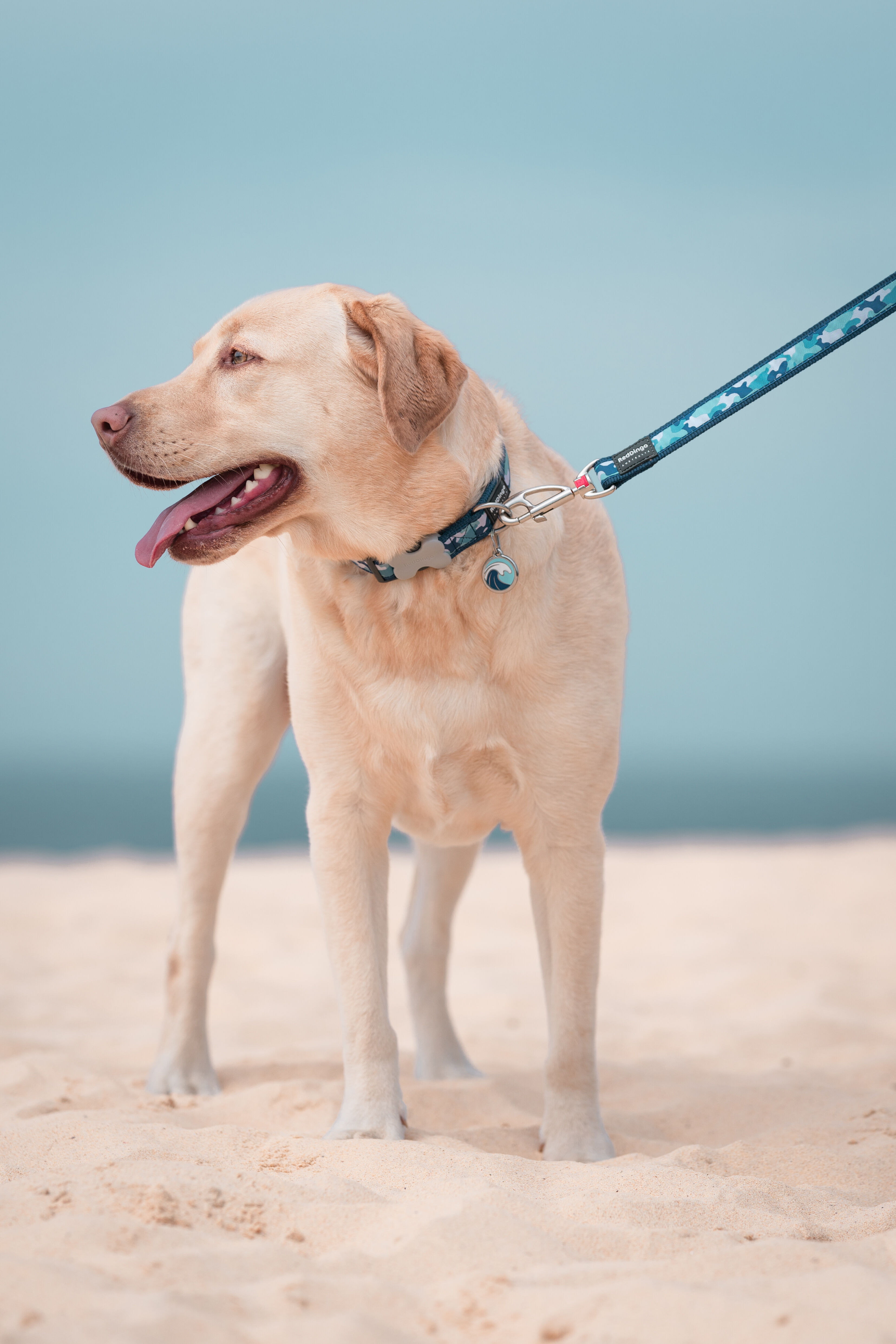 Placa identificativa Acero Inoxidable Esmalte Ola Azul Claro para perros, , large Imagen numero 2