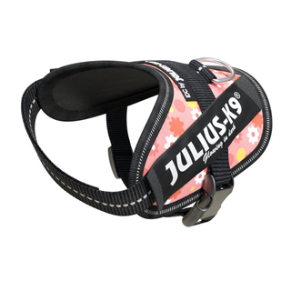 Arnés para perros Julius K9 IDC rosa con flores