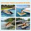 PawHut Rampa Perros Piscina Naranja, , large indicador imagen numero 5