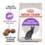 10 kg Royal Canin Regular Sterilised 37 pienso para gatos, , large indicador imagen numero 2