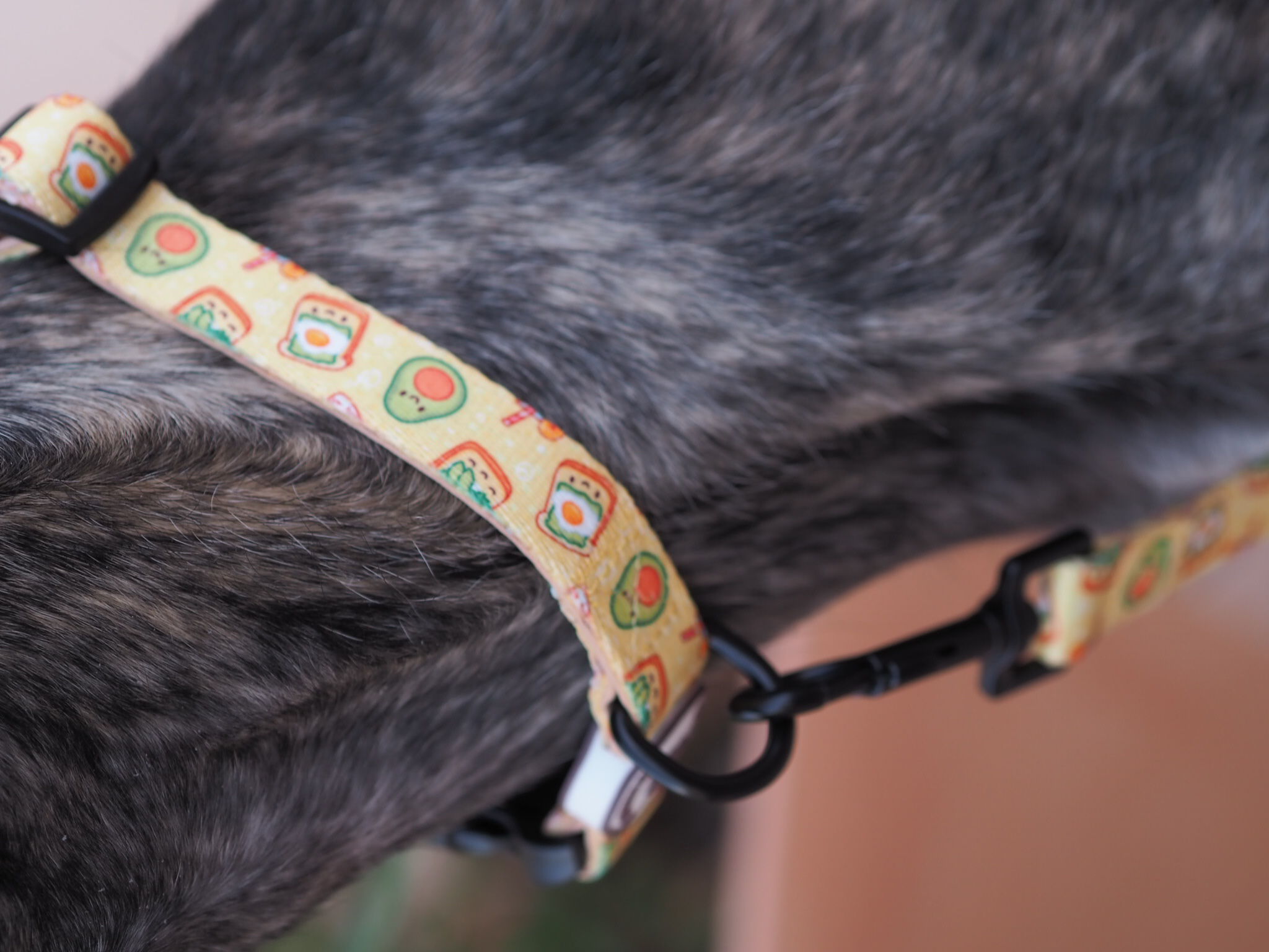 Collar para perros Breakfast, , large Imagen numero 3