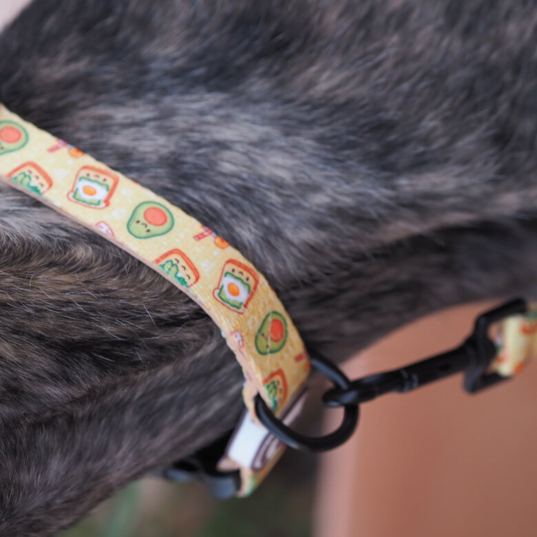 Collar para perros Breakfast, , large image number null