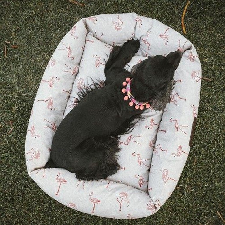 Cama impermeable Flamencos para perros color Multicolor, , large image number null