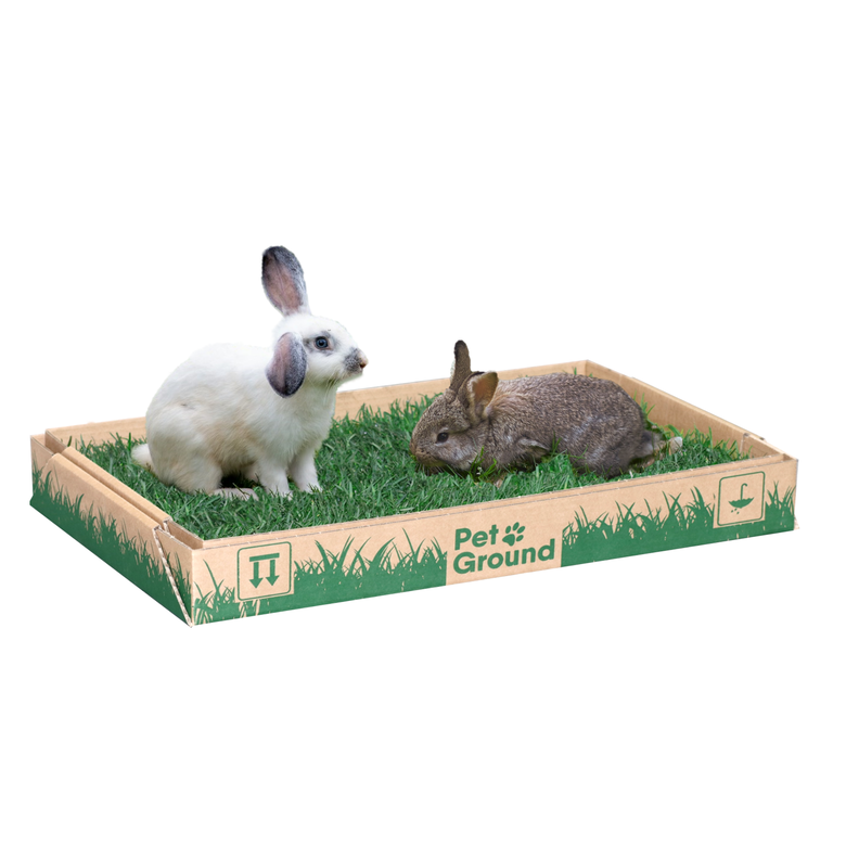 Petground, Parque para conejos, Casa de Césped natural, XL