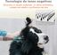COSTWAY Secador Para Perros y Gatos 1700W, Temperatura y Flujo de Aire Ajustables, Secador Para Mascotas de Lones Negativos, 4 Boquillas, Pantalla Inteligente LED, , large indicador imagen numero 3
