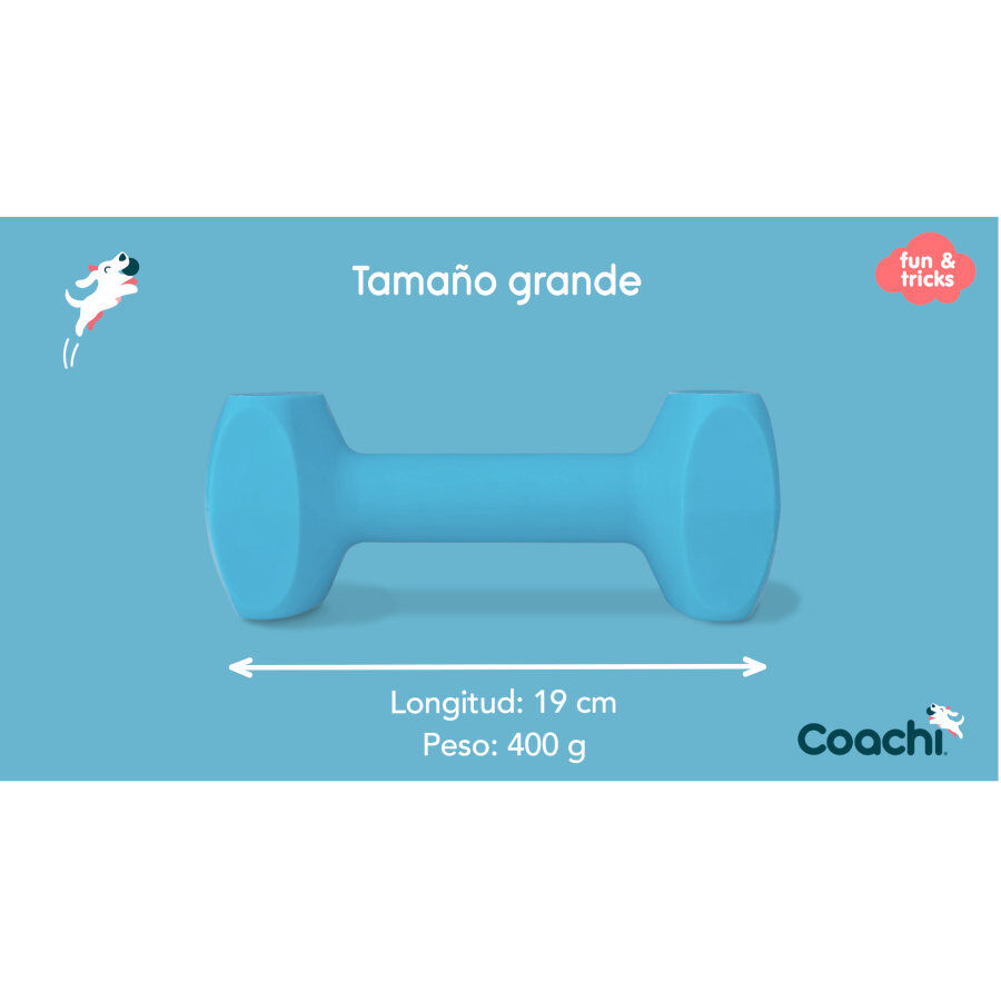 Coachi pesa de juguete celeste para perros grandes, , large Imagen numero 3