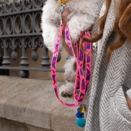 Correa Luckly Gris Camuflaje para perros color Rosa, , large Imagen numero 2