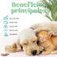 Paradise Aceite 10% CBD Base AOVE Relajante para Gatos y Perros | Hecho en España, , large indicador imagen numero 2