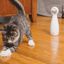 PetSafe Luz láser automática FroliCat Bolt blanco, , large indicador imagen numero 4