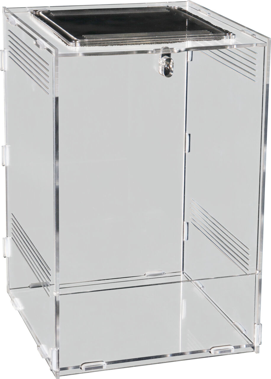 REPTO CLEAR terrario de cristal